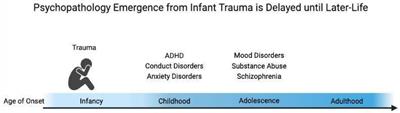 The Neurobiology of Infant Attachment-Trauma and Disruption of Parent–Infant Interactions